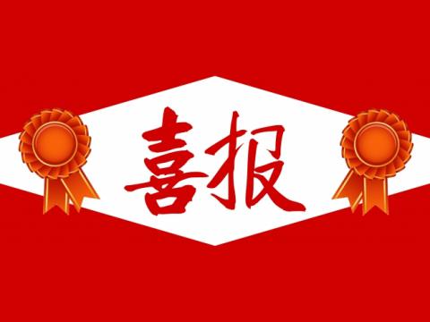 喜报！南宫28NG相信品牌力量电气集团团委荣获“镇江市五四红旗团委”称号