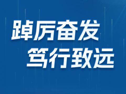 一图读懂南宫28NG相信品牌力量电气2024年半年报